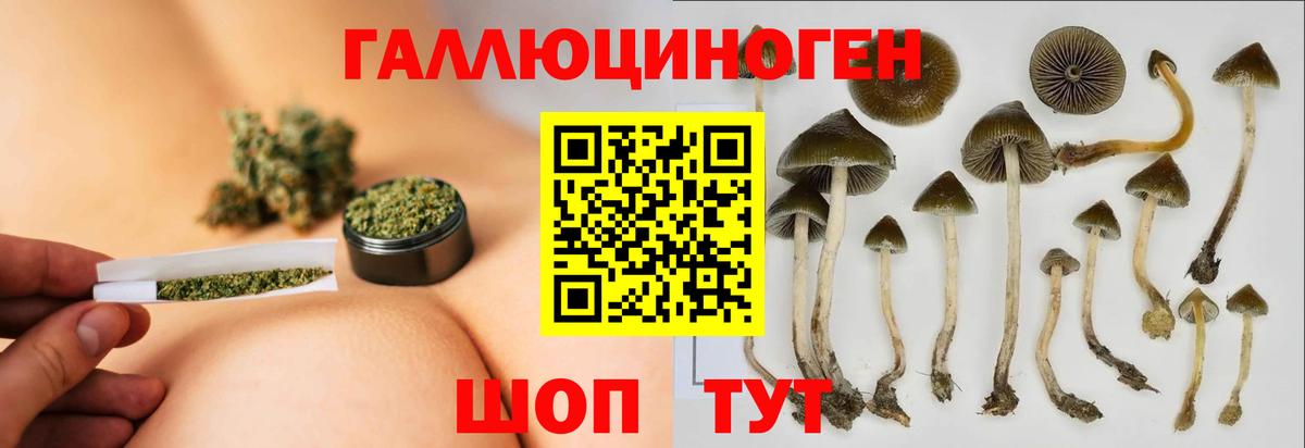 Псилоцибиновые грибы MAGIC MUSHROOMS  Вход с VPN  Кимры 